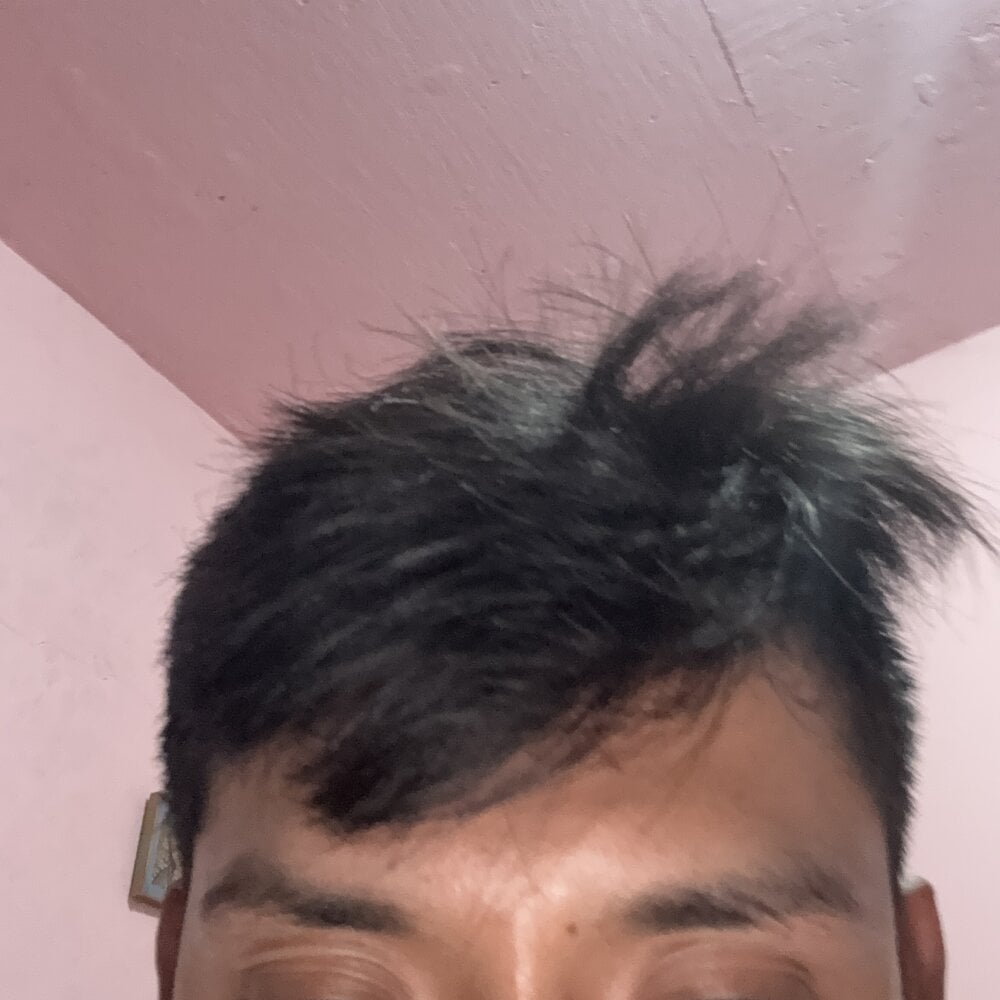 LuisSafari@xh Chatroom