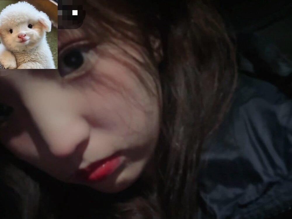 MeiMei-JiaJia Chatroom