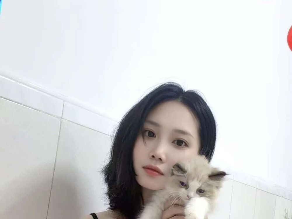 Mengmeng18 Chatroom