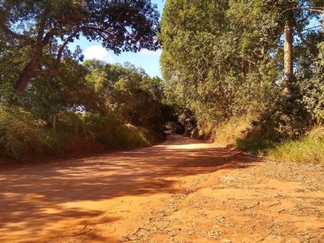 mineiro036