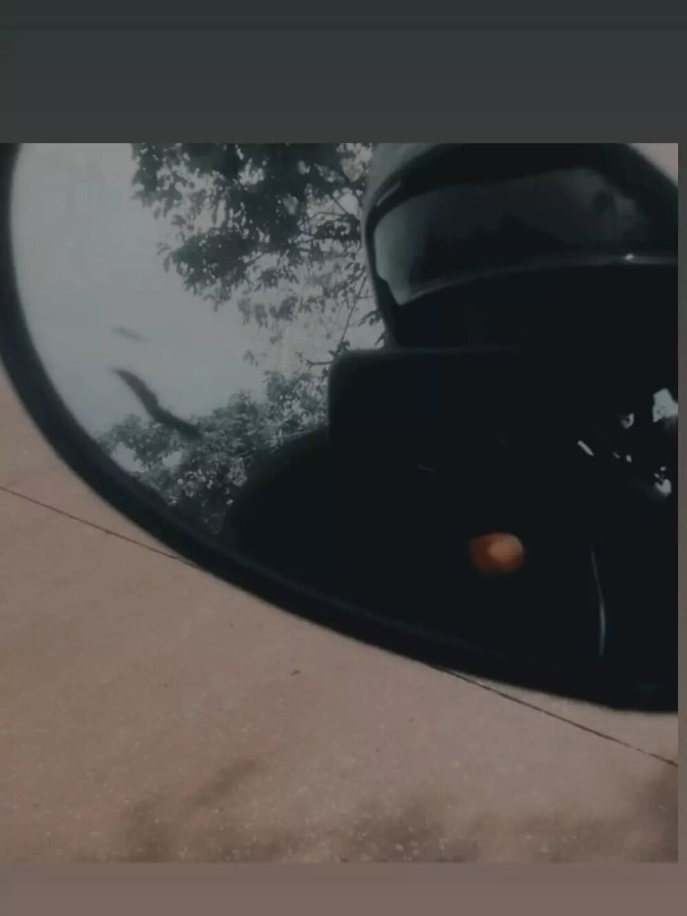 MisterMond30 Chatroom