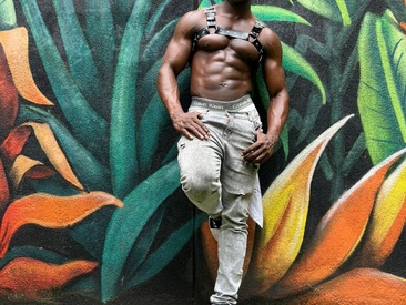 mrbyronstallion