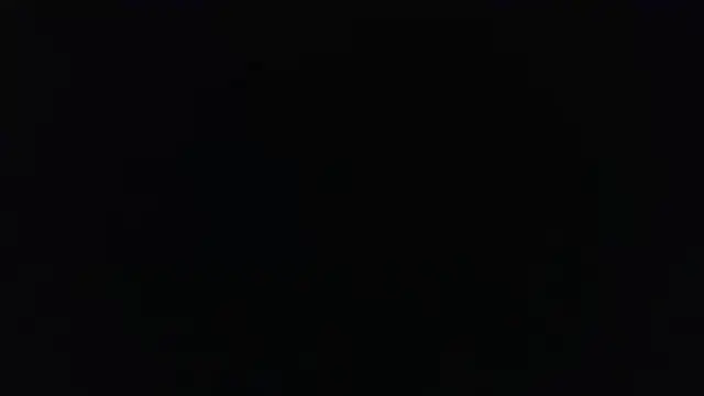 Mr_Worldwide559 Chatroom
