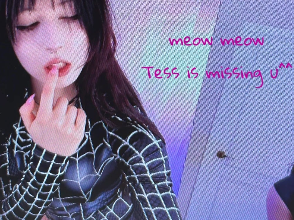 MutedMood_ Chatroom
