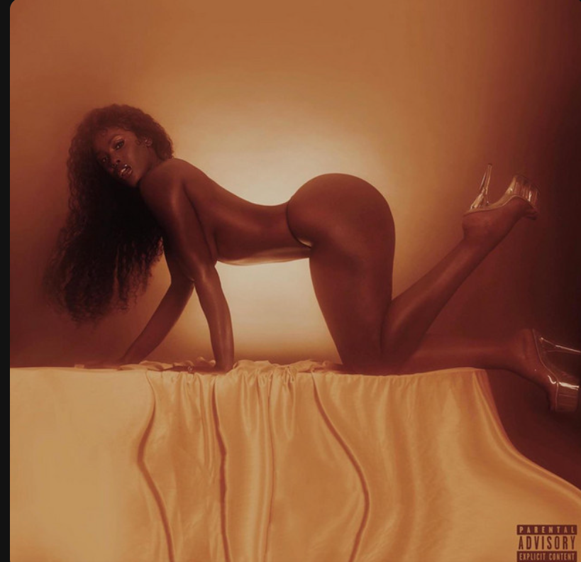 NayaraVelvet Chatroom