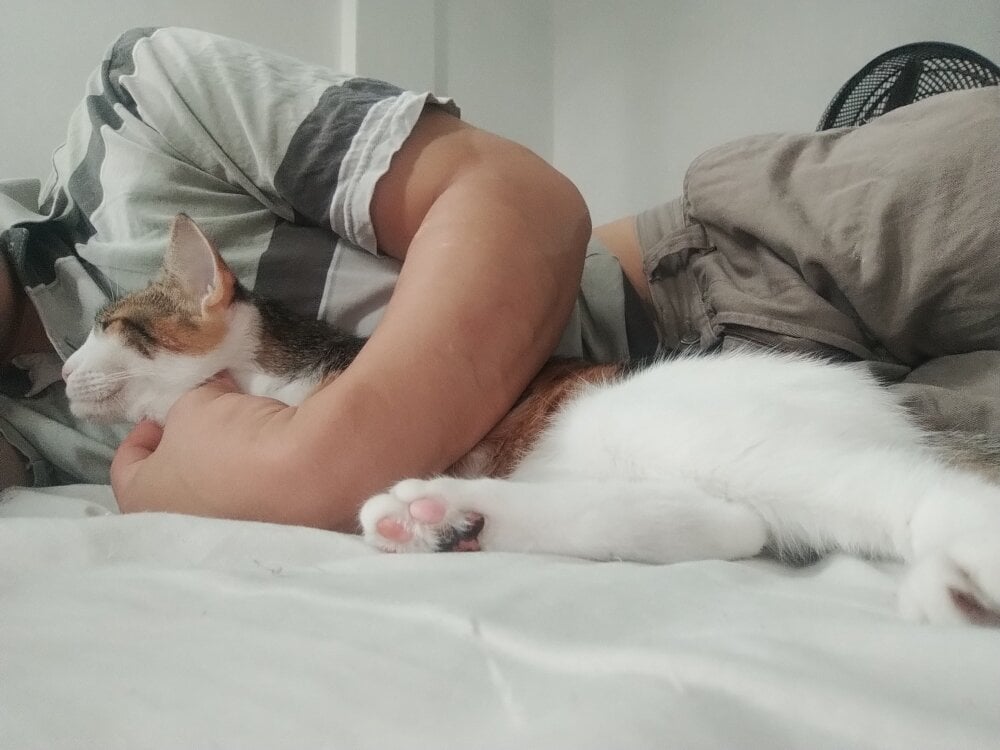 NiceBabyBoy Chatroom