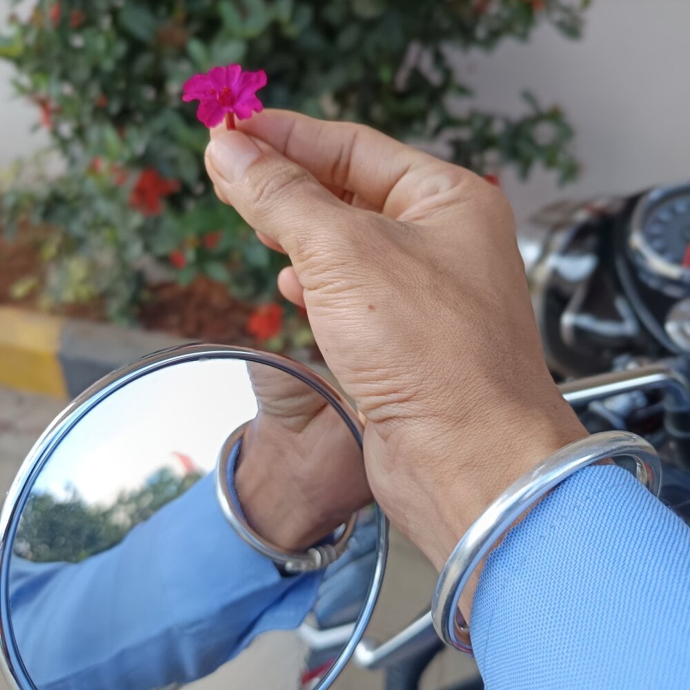 NogenBigdesyboy Chatroom