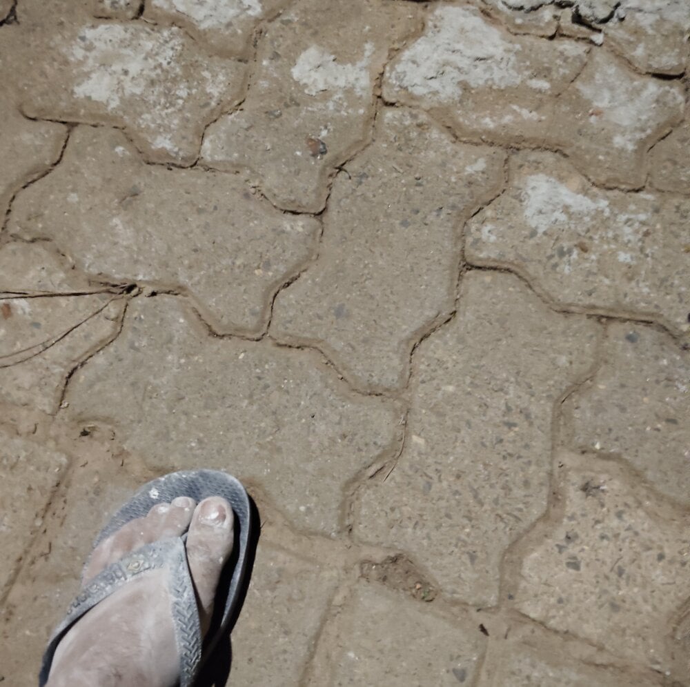 Novinhosafadt Chatroom