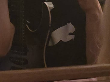 pandasweets