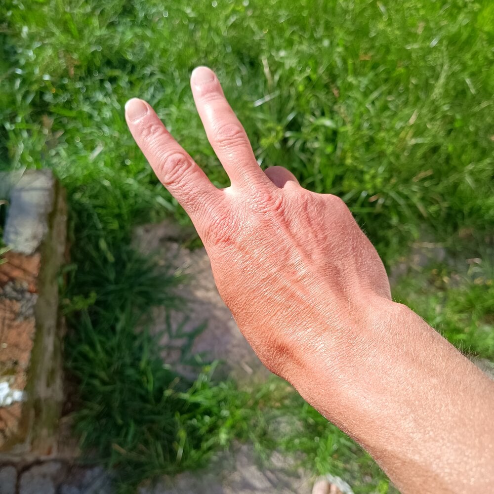 Paucabeludo_ Chatroom