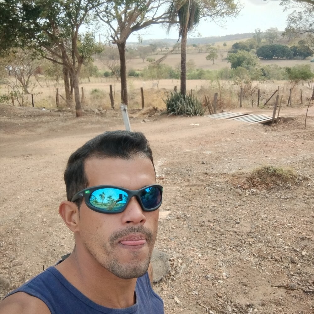 Pauzao15gtc Chatroom