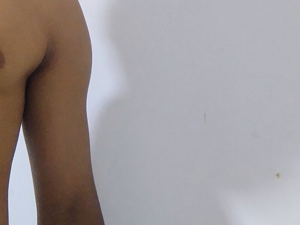 Pauzudodapicapreta Chatroom