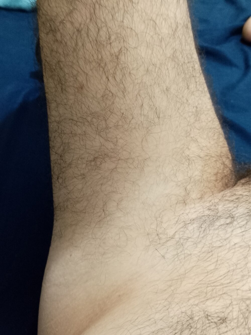 PerfectDickRJ Chatroom