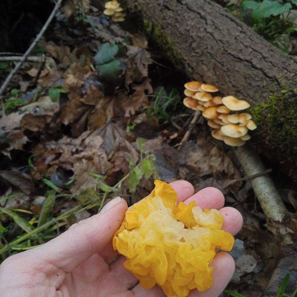 Personal_Bulldozer Chatroom