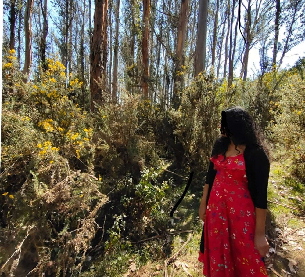 Phoenix_Lux Chatroom