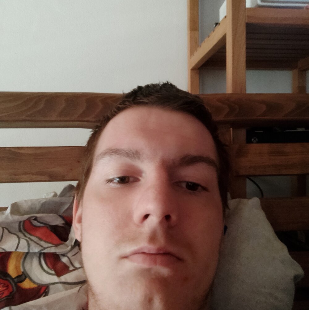 Pindik23322 Chatroom