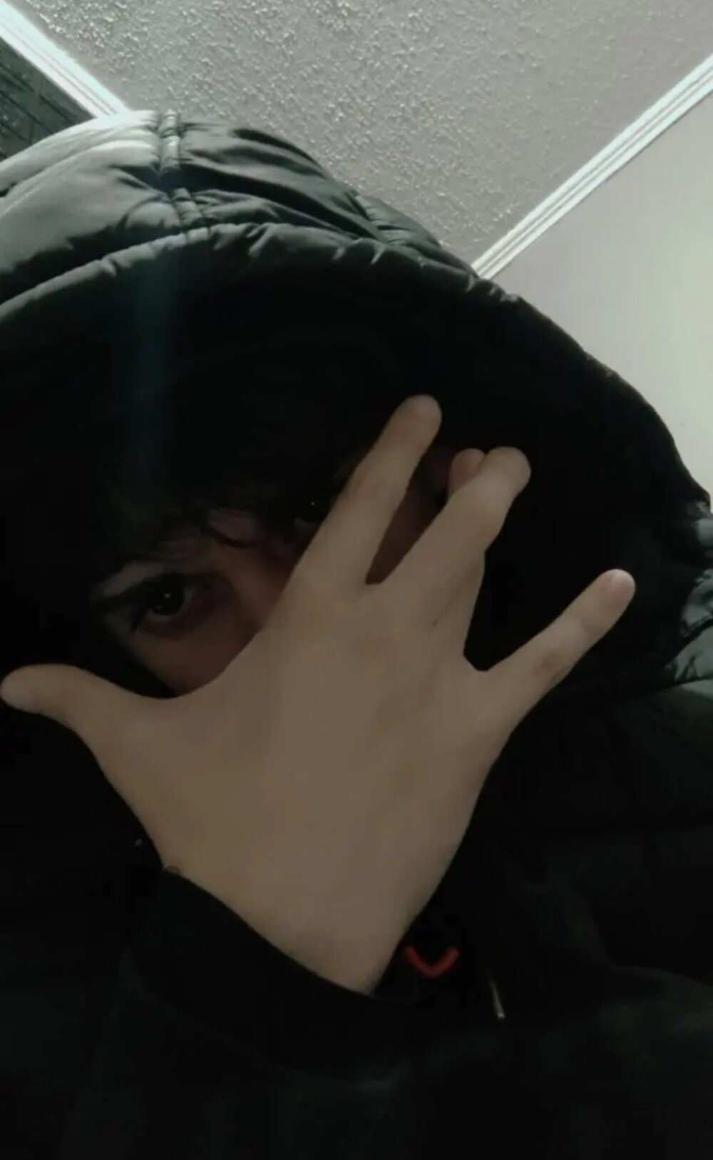 Pixuladeoro1 Chatroom