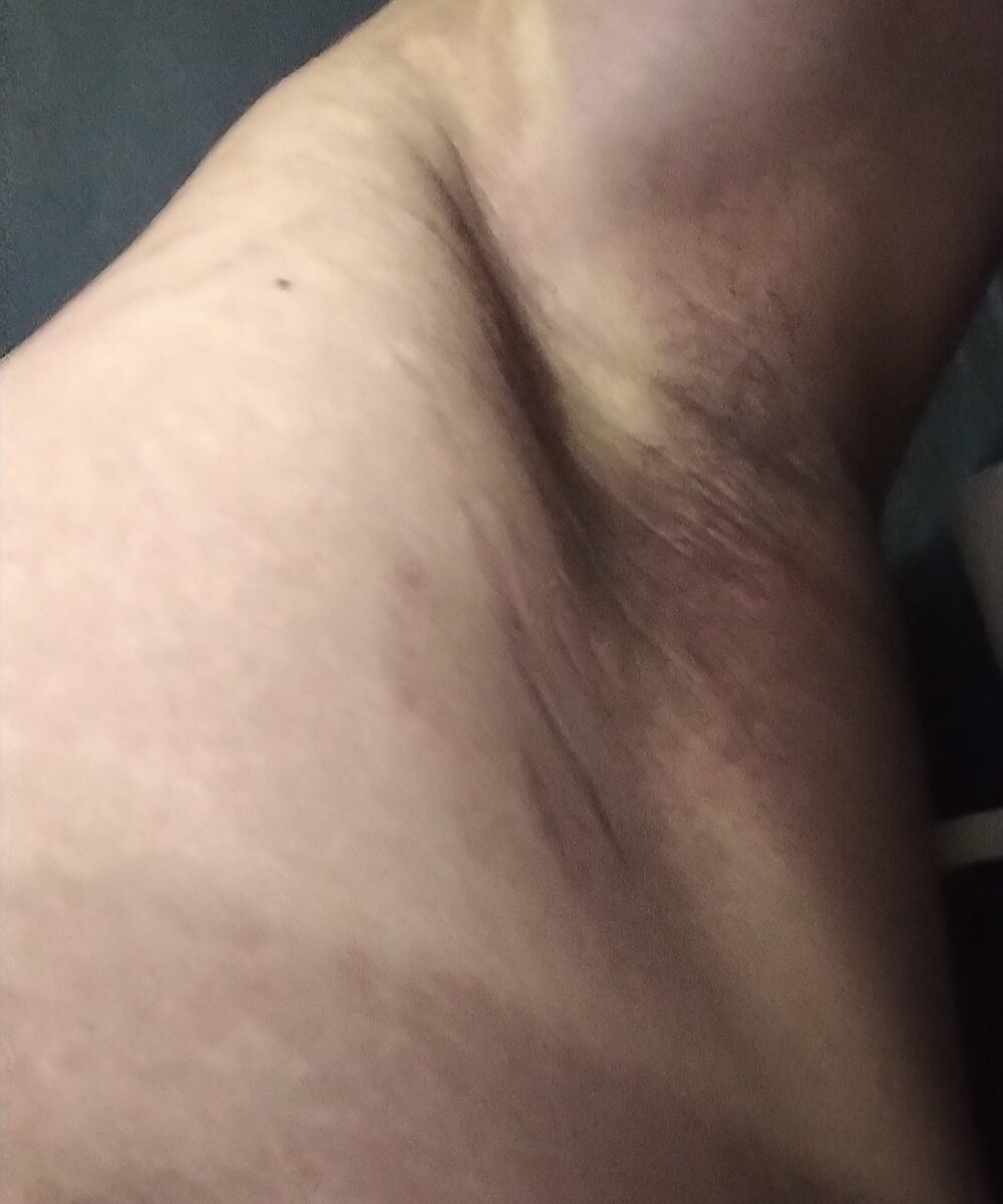 Polines14250 Chatroom