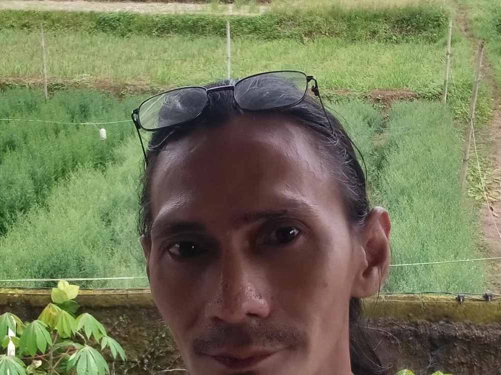 Pongky83 Chatroom