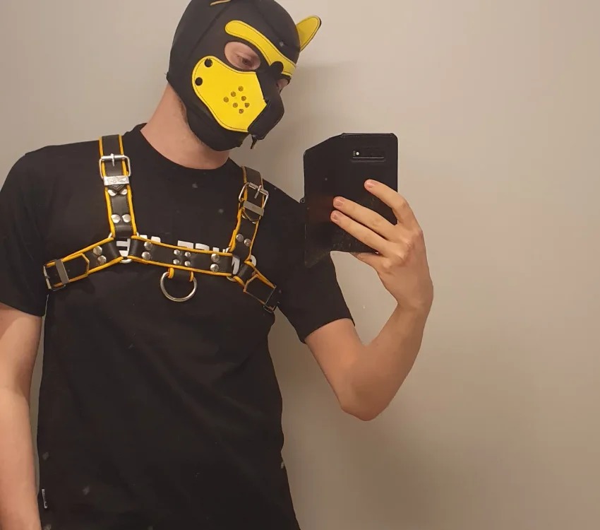 Pup_Noir Chatroom