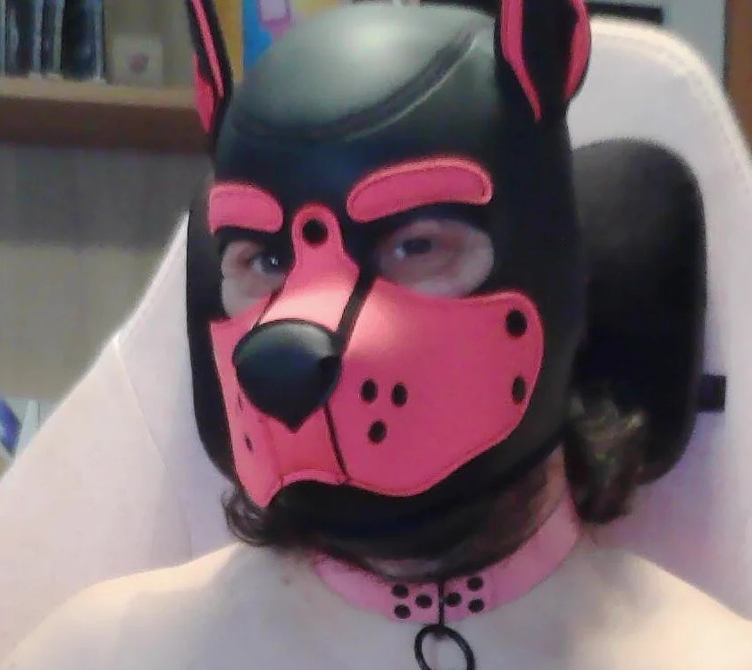 Puppybear69 Chatroom