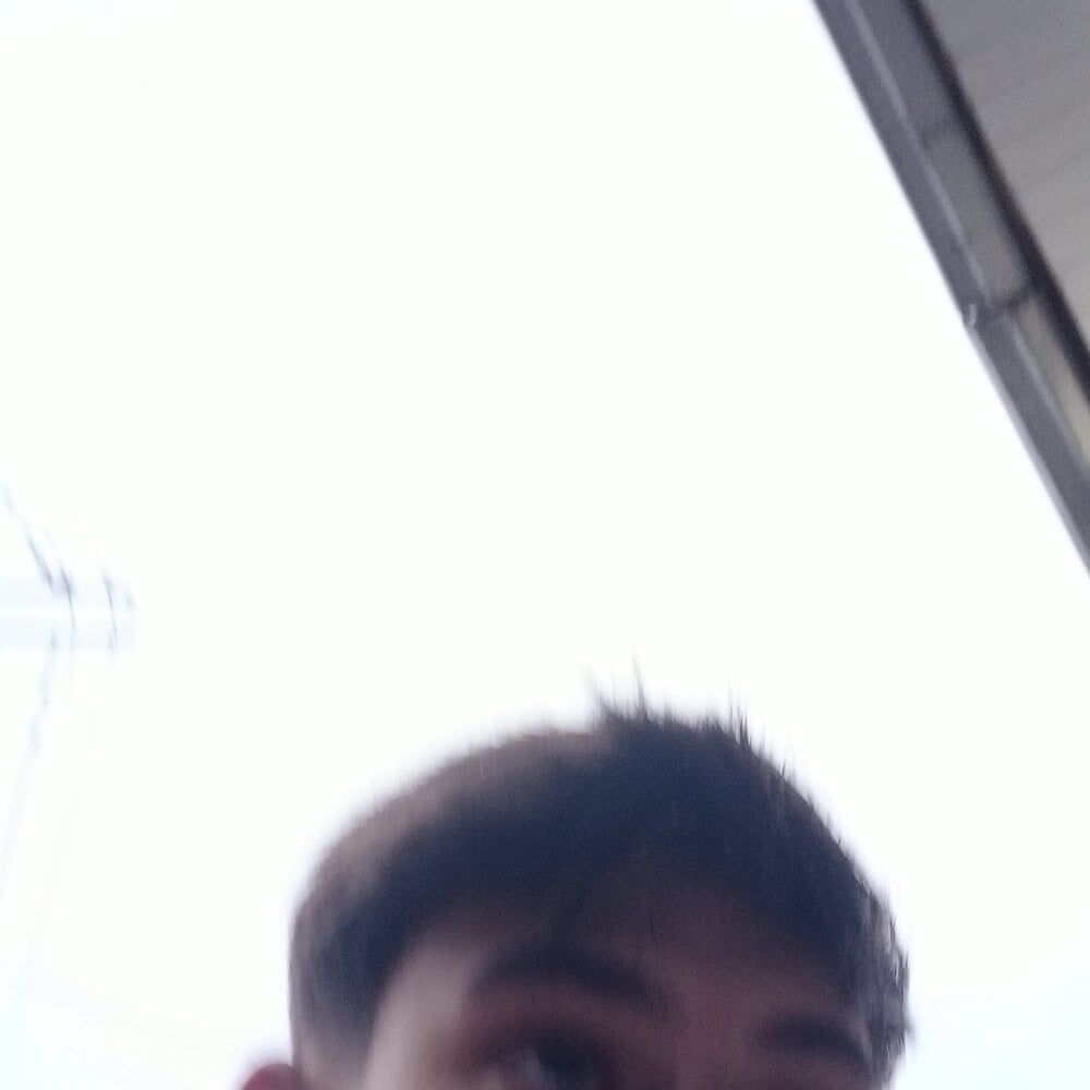 Putinha33333 Chatroom