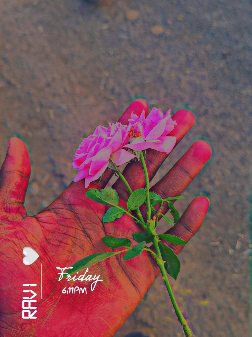 Realmeetallover Chatroom