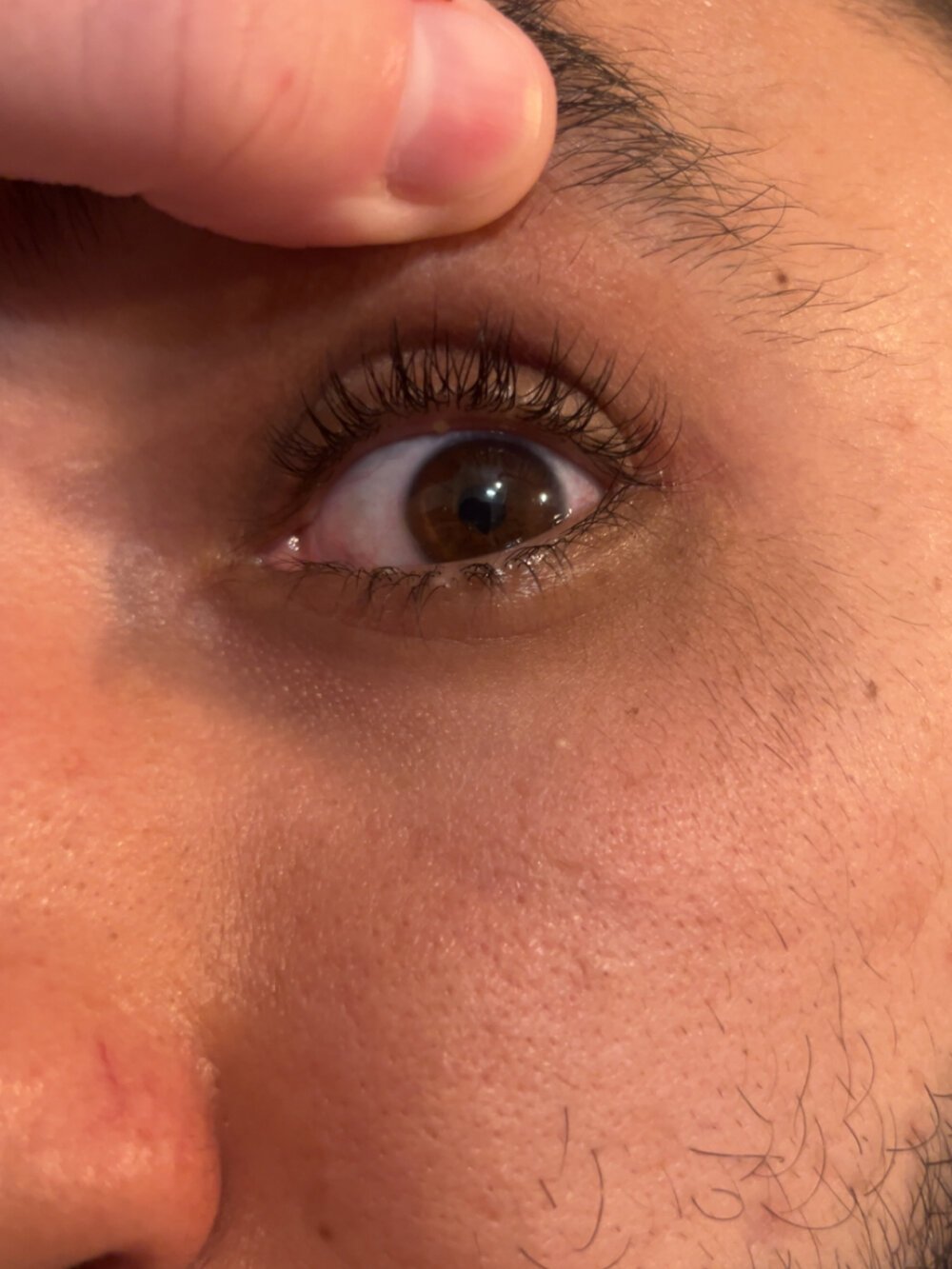 Rebeu-frozen- Chatroom