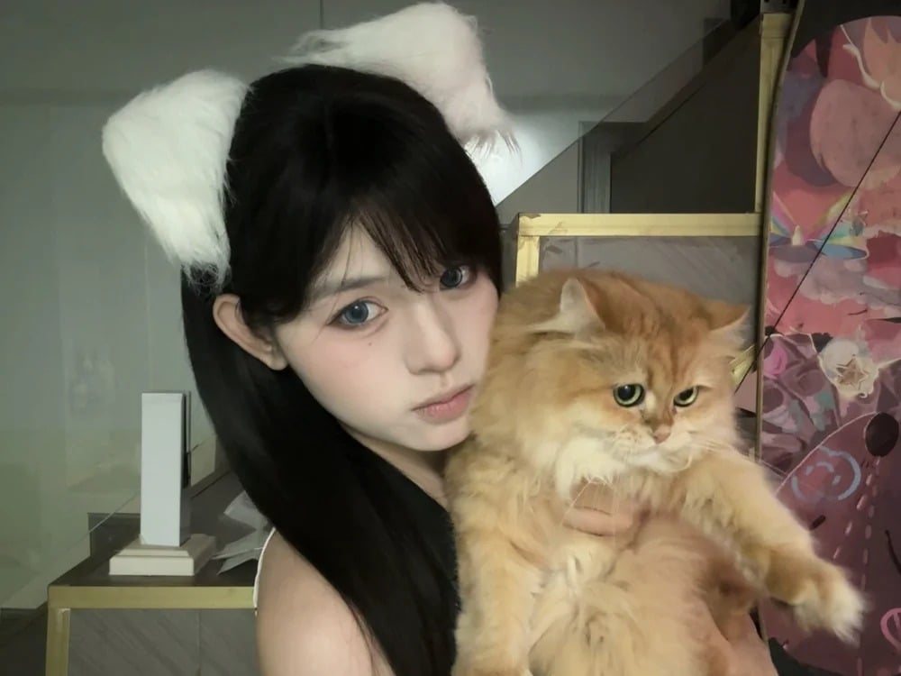 Rely-001 Chatroom