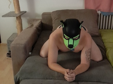 rockythepup