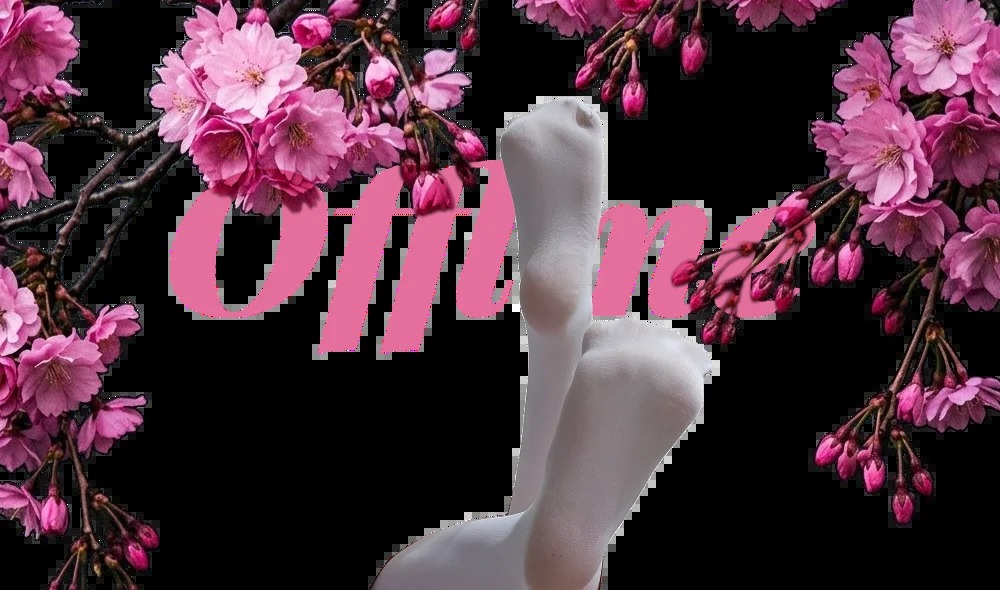 SAKURA_MAEDA Chatroom