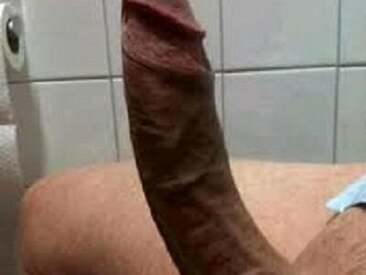 sparta73