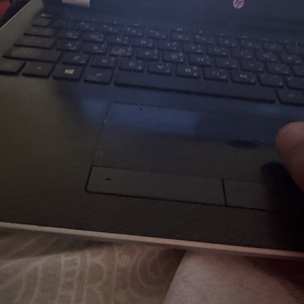 SamSissyBoy1 Chatroom
