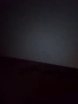 Schamlippenspreitzer Chatroom