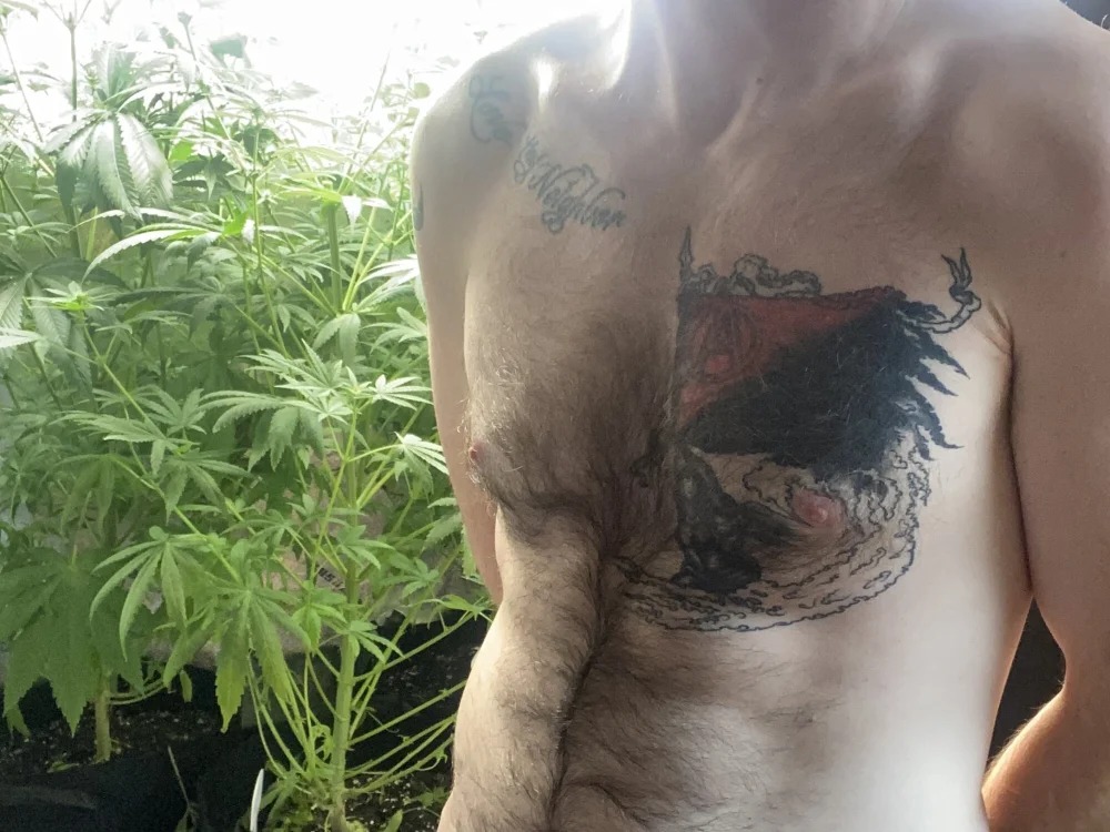 SeanSativa Chatroom