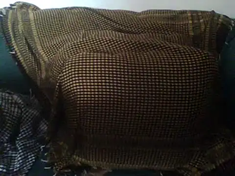 Sexy_Chewbacca Chatroom