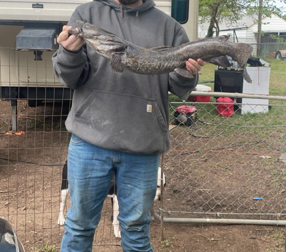 ShyButBrickedUp Chatroom