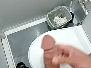 sikici34116