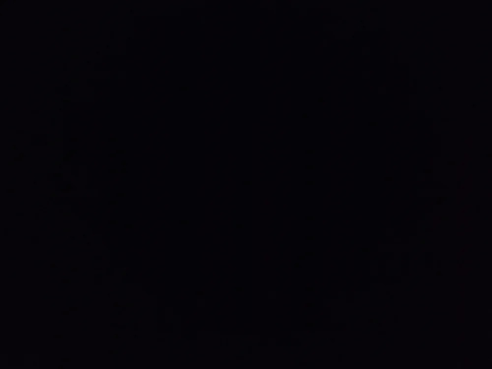 SkinnyBoneX Chatroom