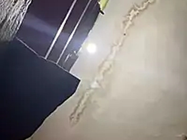 snapidrakesh4