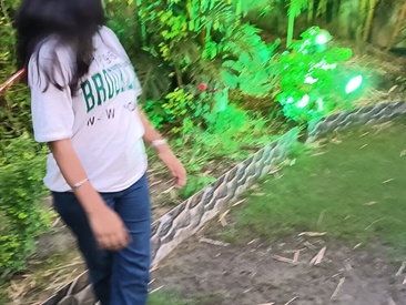 snehabeauti