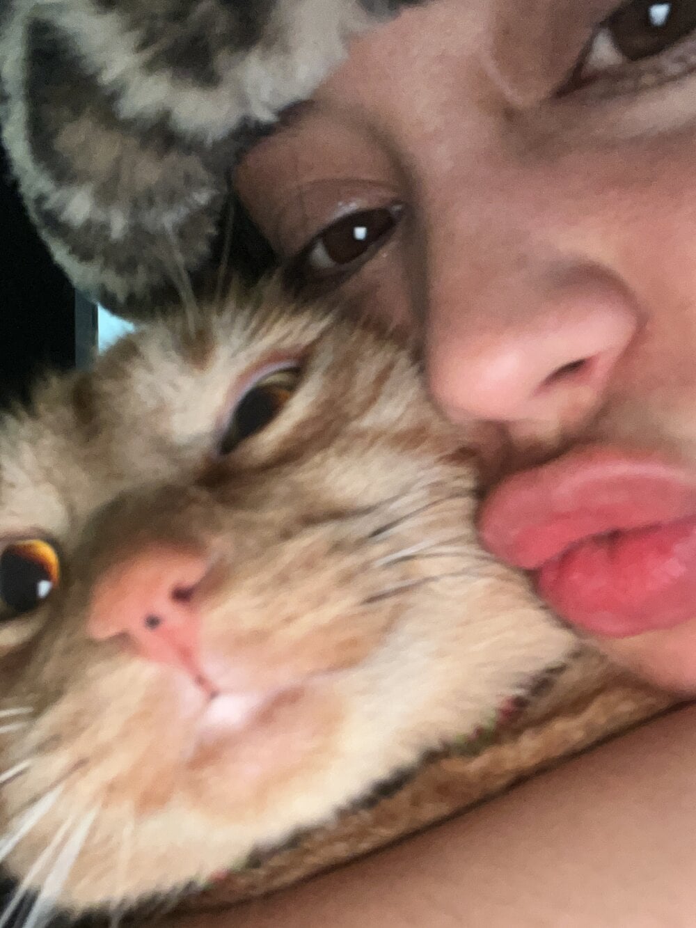 SofiaBermudez Chatroom