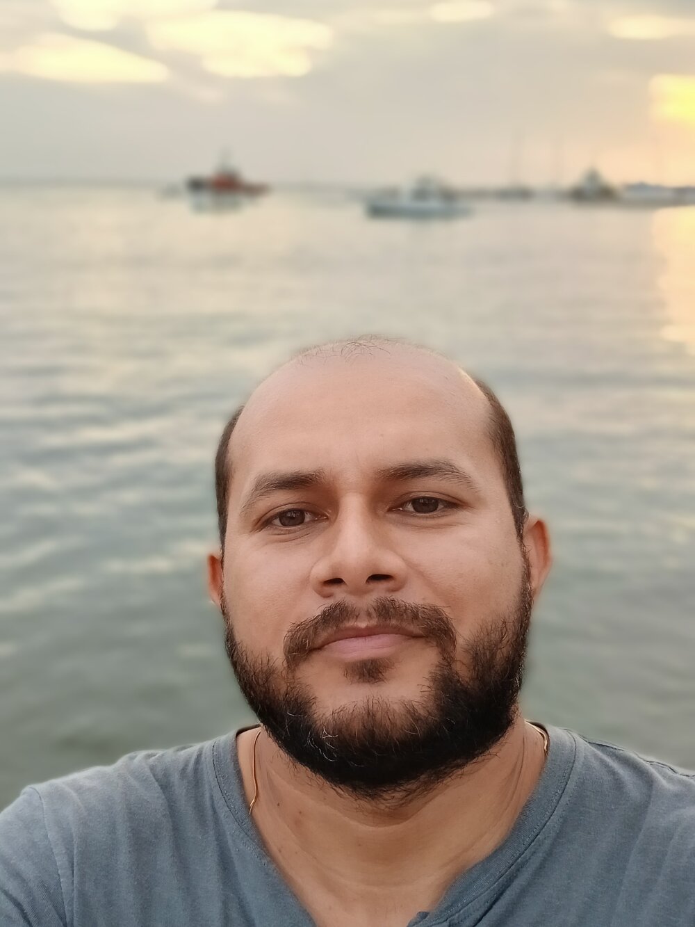 Solitariocol Chatroom