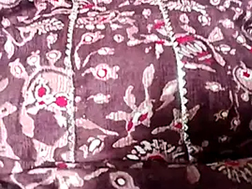 soniya-roy