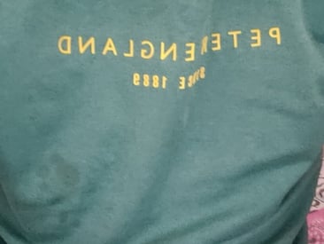 southindiandick
