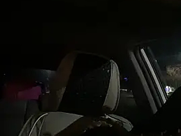 stellajane