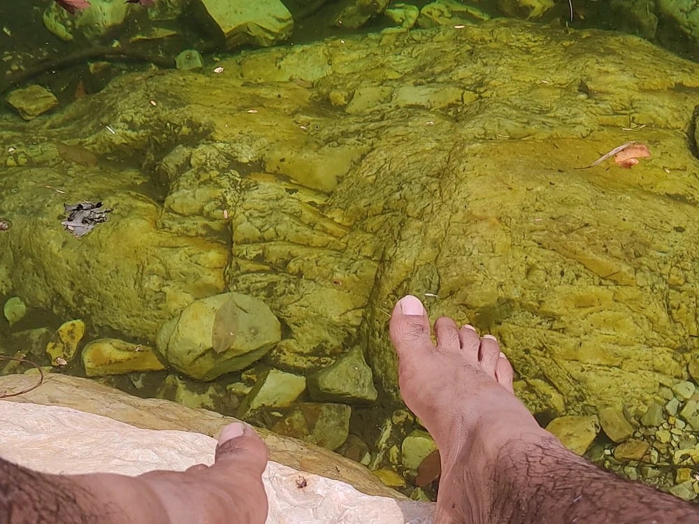 Stripboychn Chatroom