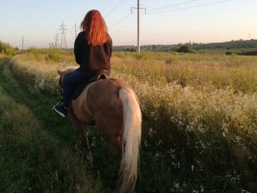summer-sun