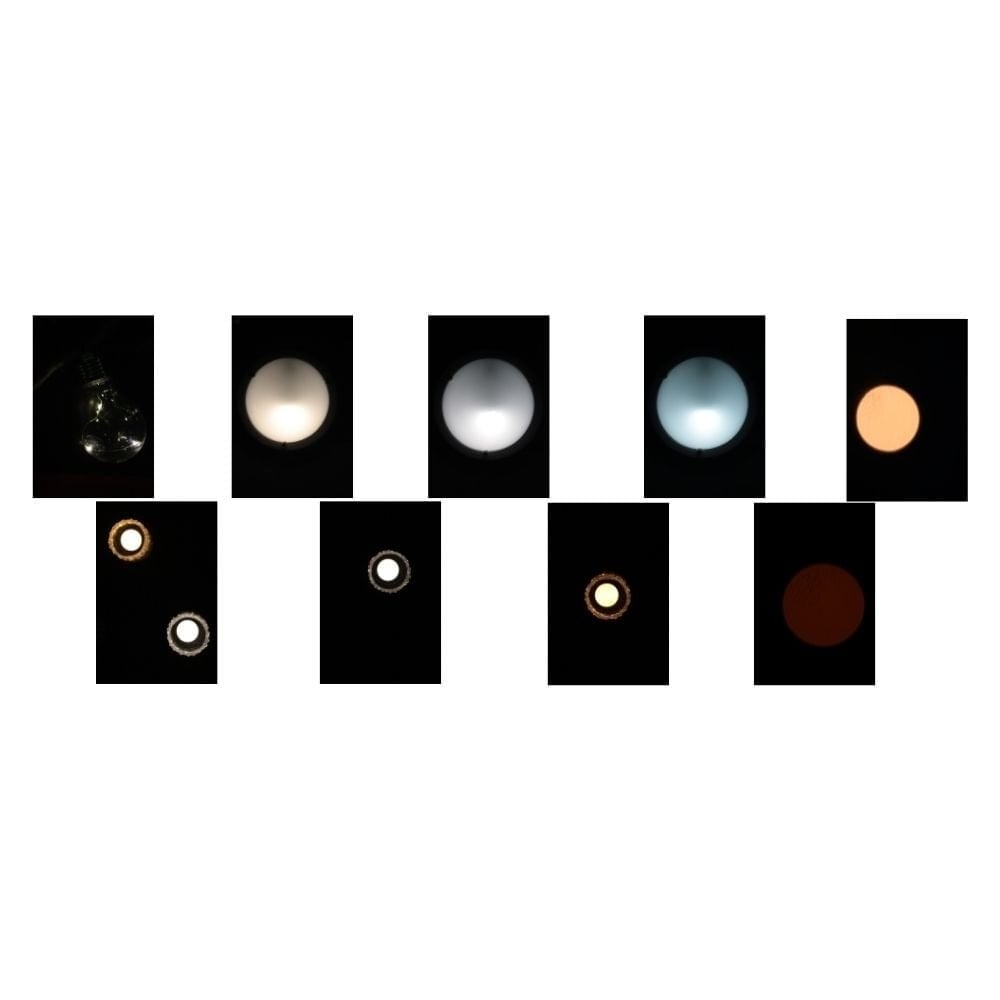 Tatelangdon2169 Chatroom