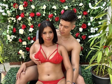 taylorymax